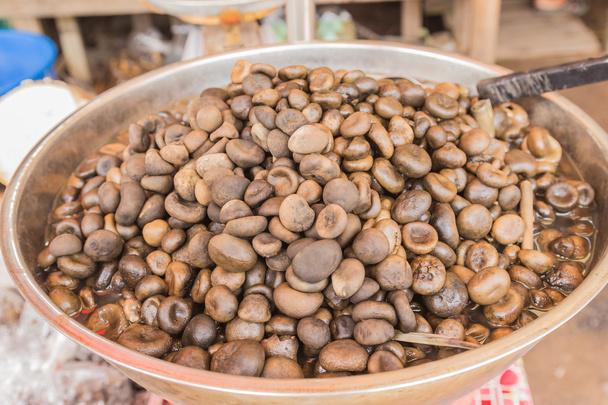 Barometer Earthstars, mushrooms from forest for sale at local Thai market - Photo, Image