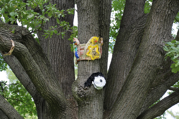 L'idée de la décoration des arbres dans le jardin
 - Photo, image