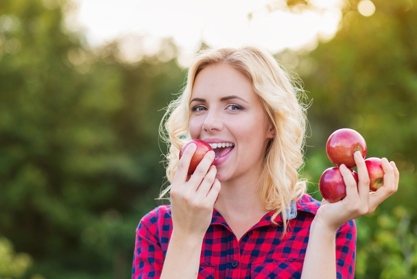 Красива жінка збирає яблука, їсть їх
 - Фото, зображення