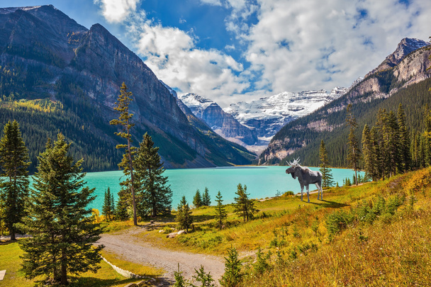  Magnificent Moose went lake  - Fotografie, Obrázek