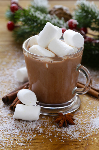 sweet hot cocoa with marshmallows, winter Christmas drink - Foto, Imagem