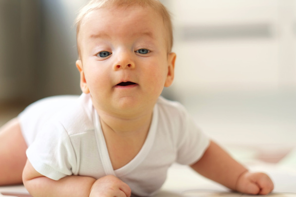 Bambino di quattro mesi
 - Foto, immagini