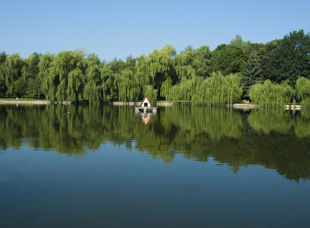спокійне озеро
 - Фото, зображення