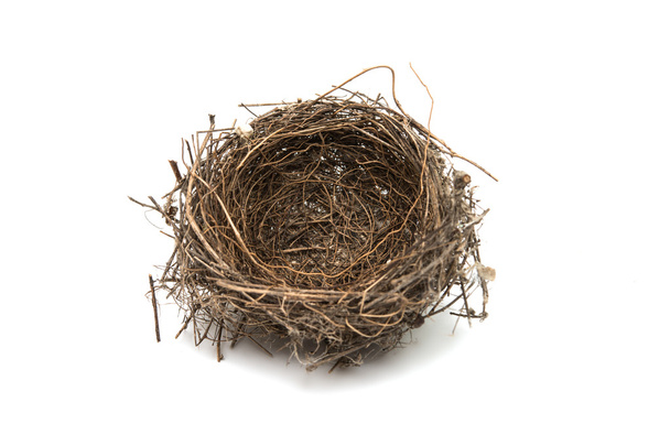 bird's nest isolated  - Fotó, kép