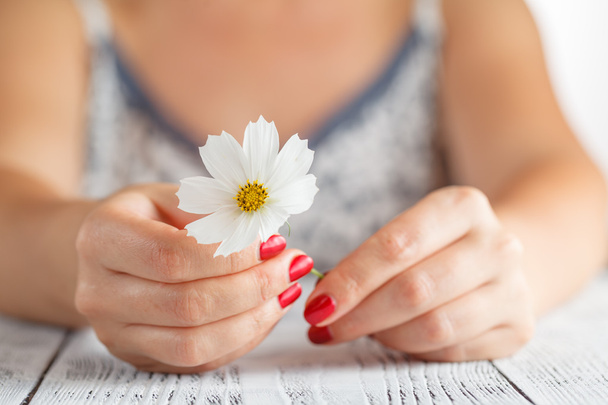 Hands of a woman holding flower - 写真・画像