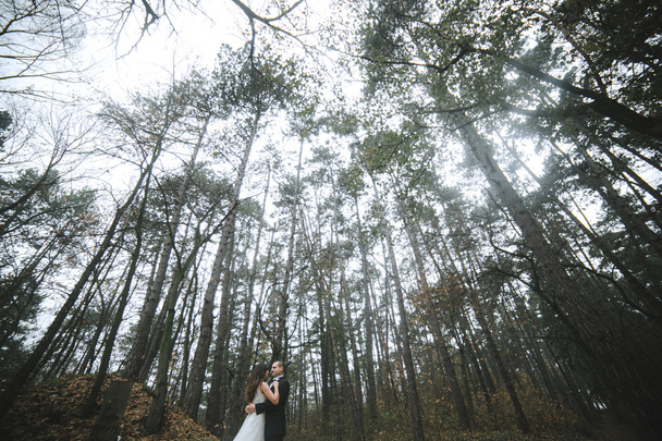 happy bride and groom posing in the autumn forest - Φωτογραφία, εικόνα