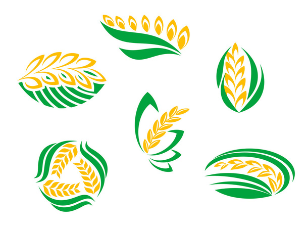 Символы зерновых растений
 - Вектор,изображение