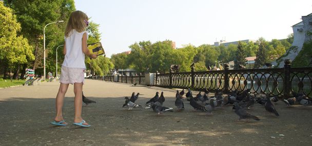 Little girl feed pigeons - Photo, Image