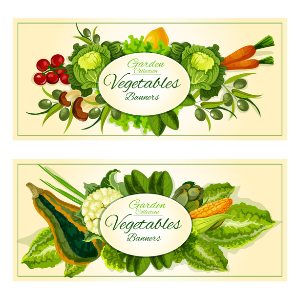 Groenten, fruit en Salade greens banners set - Vector, afbeelding