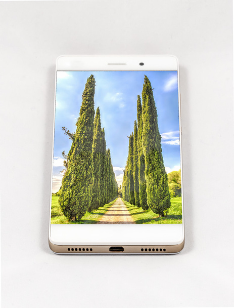Moderno smartphone che mostra l'immagine a schermo intero di cipressi, Italia
 - Foto, immagini