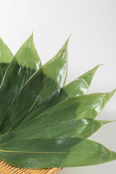 Bambusový list, do kterého vyrůstá zelený list, když je podzim - Fotografie, Obrázek