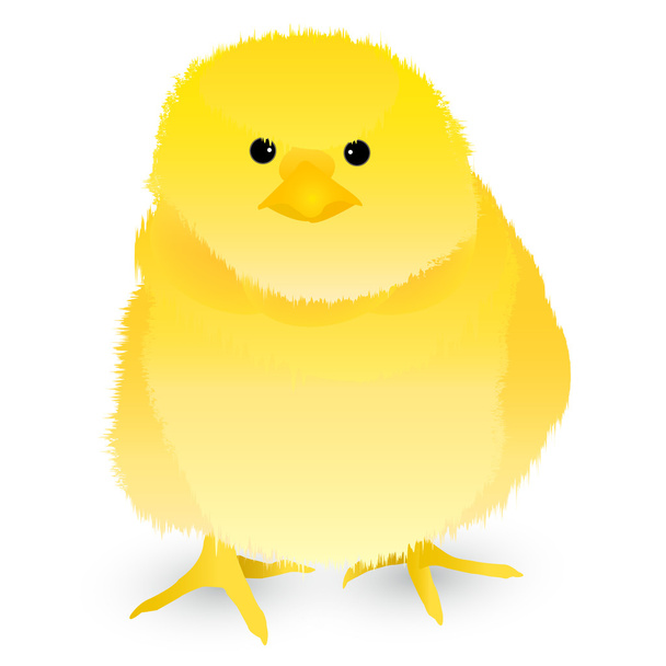 Rooster chick greeting cards icon - Wektor, obraz