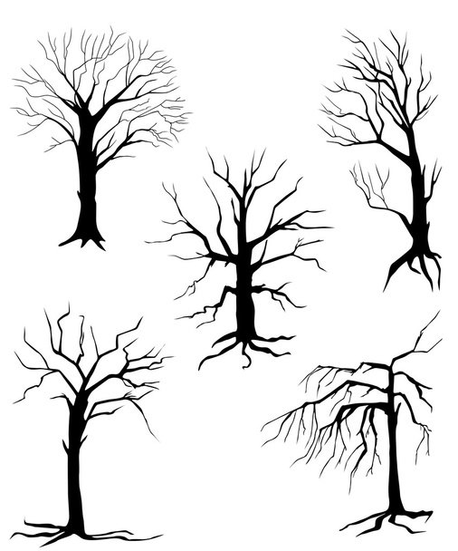 collection of silhouettes of trees, isolated on white background - Vector, Image