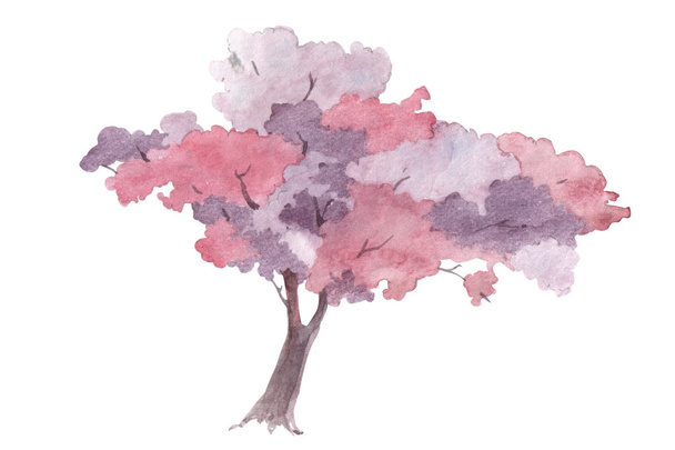 cherry trees watercolor illustration - Foto, Imagem