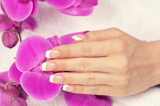 female hand with french manicure  - 写真・画像