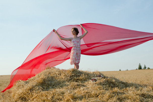 girl in field with cloth - Φωτογραφία, εικόνα