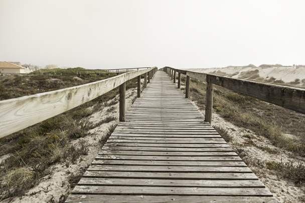 Wooden walkway to the beach - Photo, image
