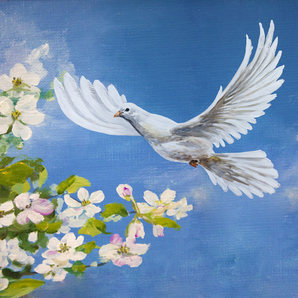 Свободный белый голубь
 - Фото, изображение