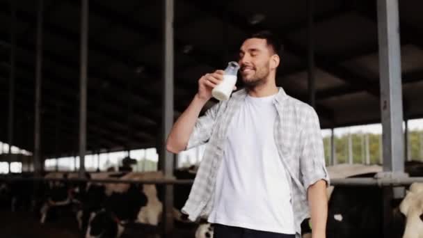 man or farmer drinking cows milk on dairy farm - Video, Çekim