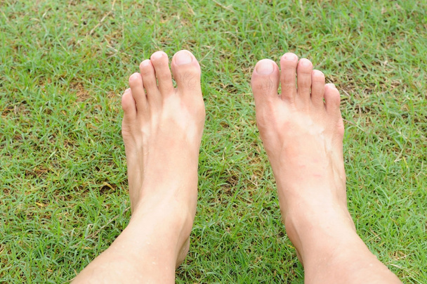 Yeşil çimenlerin üzerinde insan bacakları rahatlıyor. - Fotoğraf, Görsel