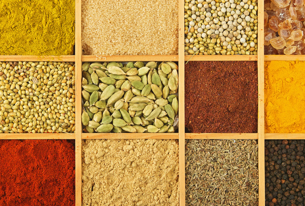 Spices - Фото, изображение