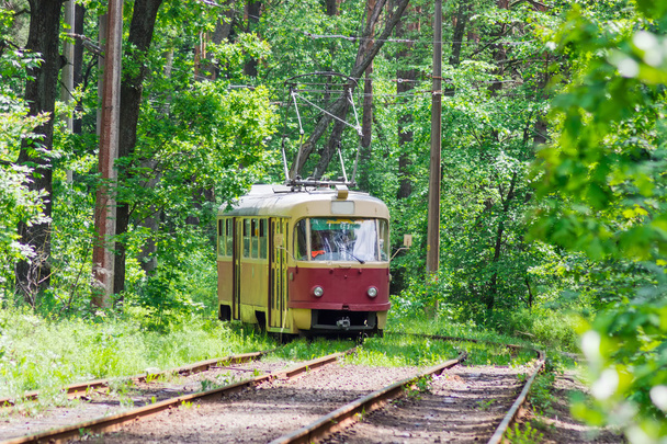 Старый трамвай среди леса
 - Фото, изображение