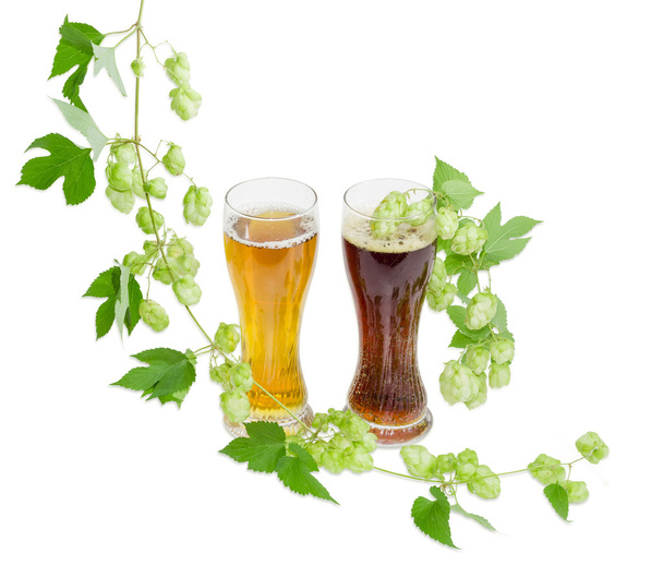 Dvě sklenice piva a chmele větví na světlé pozadí - Fotografie, Obrázek