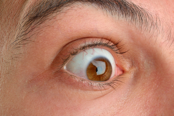Close up picture of brown human eye. Young man with long eyelash - Foto, Bild