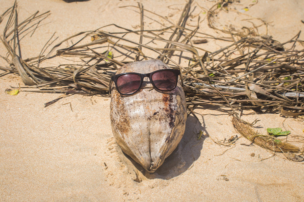 Kokosnoot in zonnebril liggend op het zand. - Foto, afbeelding