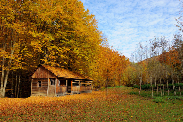 sám dům v podzimní mountain - Fotografie, Obrázek