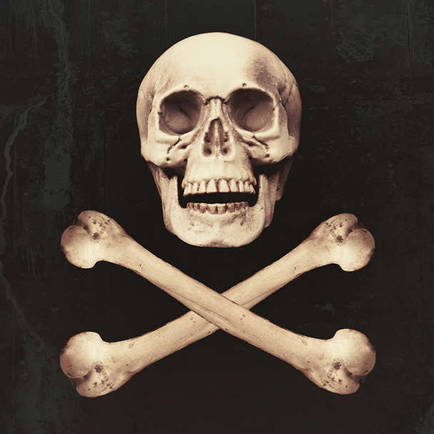 Crâne et os croisés pour Halloween
 - Photo, image
