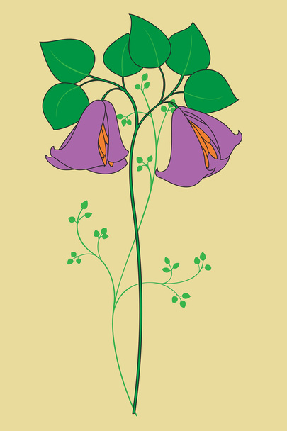 Beautiful flower - Вектор,изображение