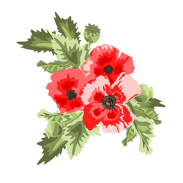 poppy floral bouquet - ベクター画像