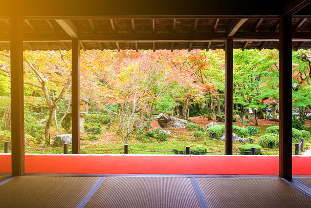 Fall color with sunlight in Enkoji temple, Kyoto - Photo, Image