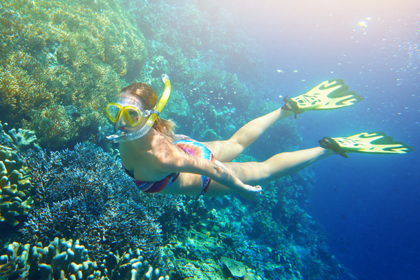 vrouw aan het snorkelen in de tropische water - Foto, afbeelding