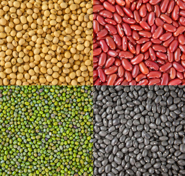 Beans collection - Foto, Bild