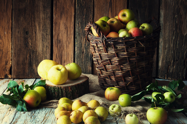 Wild apples and pears in basket - Photo, Image