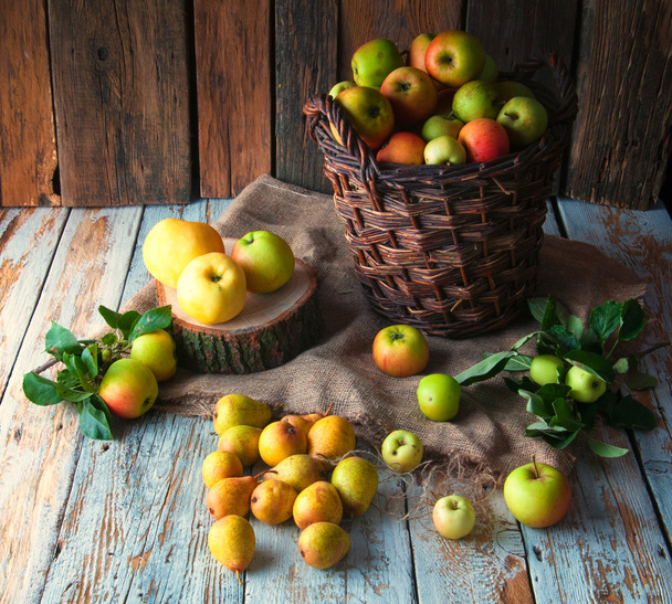 wilde Äpfel und Birnen im Korb - Foto, Bild