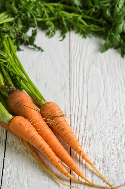 Freshly grown carrots - Foto, afbeelding