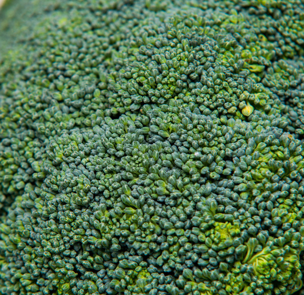 close up on Fresh broccoli solated background, selective focus - Foto, immagini