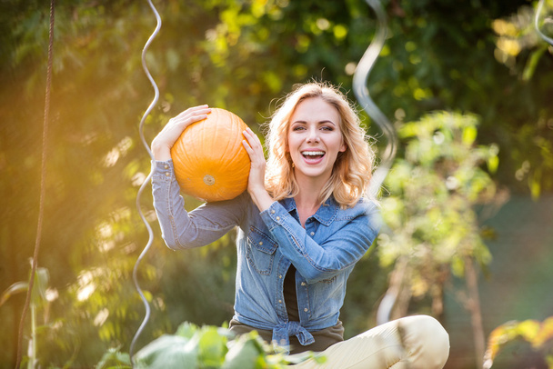 young woman in garden harvesting pumpkins - Foto, afbeelding