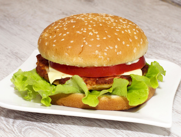 Burger aux poissons colorés
 - Photo, image