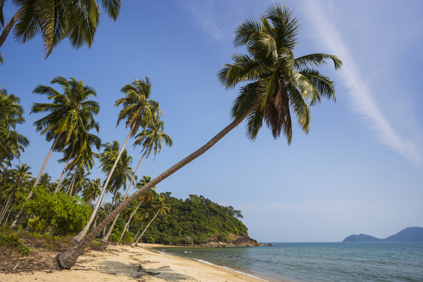 島のチャン島の美しい熱帯のビーチ  - 写真・画像