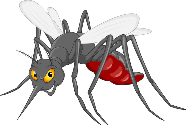 Lindo mosquito de dibujos animados
  - Vector, imagen