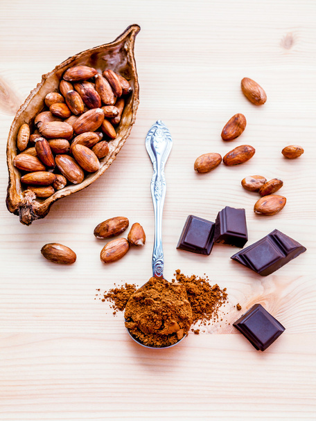 braunes Schokoladenpulver im Löffel, geröstete Kakaobohnen und dunkles C - Foto, Bild