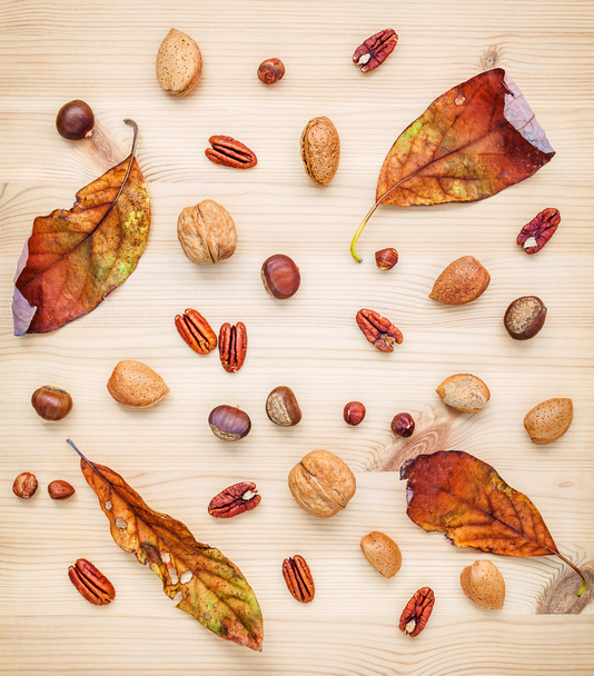 Різні види горіхів з волоських горіхів, горіхів, мигдалевого конуса
 - Фото, зображення