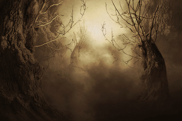 Spooky δέντρο στην ομίχλη το βράδυ - Φωτογραφία, εικόνα