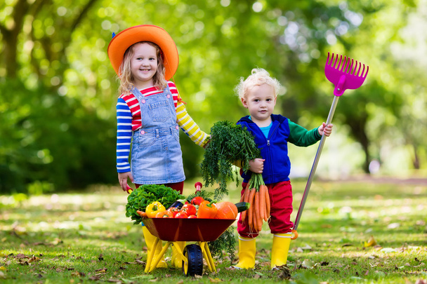Bambini che raccolgono verdure in fattoria biologica
 - Foto, immagini