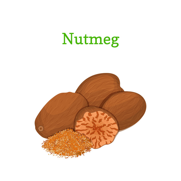 Nutmeg vector illustration of a handful of whole and crushed spices isolated on white background it can be used as packaging design element, printing brochures on healthy and vegetarian diet - Vector, Image
