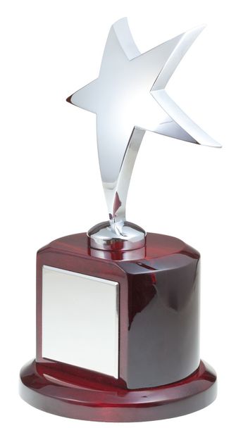 Silver star award - Фото, зображення
